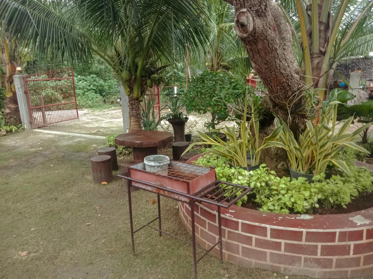 Pitaya Native Guest House Panglao-stad Buitenkant foto